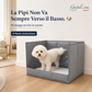 🐾 Dog Toilet with 3 Splash-Proof Walls ✨ Protects Floors and Walls, Foldable and Space-Saving