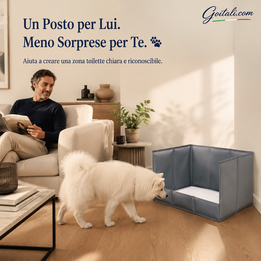 🐾 Dog Toilet with 3 Splash-Proof Walls ✨ Protects Floors and Walls, Foldable and Space-Saving