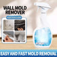 🔥2025 Hot Sale🔥Highly Effective Mould Removal Spray - Prevents Mould Regrowth