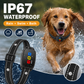 🔥Limited Time Promotion 50% OFF🔥Smart Anti-Bark Collar for Dogs