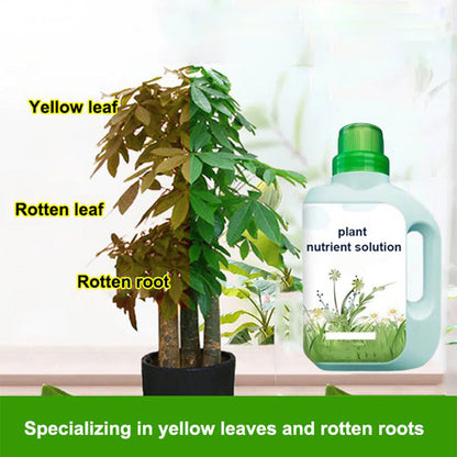 Universal Nutrient Solution for Plants