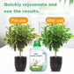 Universal Nutrient Solution for Plants