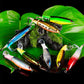 Propeller Floating Rotating Tail Fish Bait