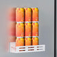 Magnetic Spice Rack for Refrigerator with Paper Towel Holder