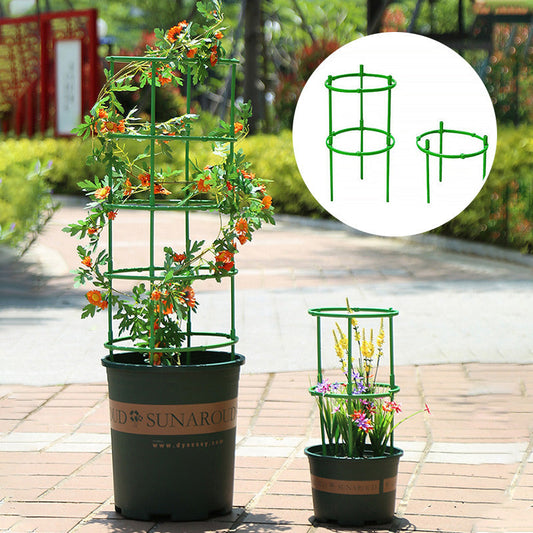 🔥Time-Limited Special🔥Detachable Plant Frame Support Stakes for Flowers and Fruits