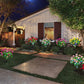 ⏳Limited-time 50% off⏰Simulation Azalea Flower Ground Stake Solar Light💐💡