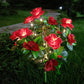 ⏳Limited-time 50% off⏰Simulation Azalea Flower Ground Stake Solar Light💐💡