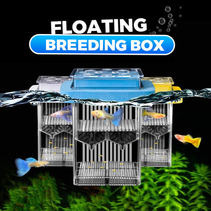 4-Layer Protective Detachable Acrylic Fry Hatching Box