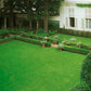 Grass Seeds for Lawn and Golf Course