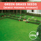 Grass Seeds for Lawn and Golf Course