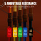 13PCS Power Resistance Band (Home Gym - Anywhere, Anytime)