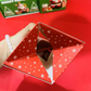 Pop Up Surprise Christmas Gift Boxes