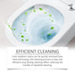 ⏳Limited-time 50% off⏰Oxalic Acid Powerful Stain Cleaner