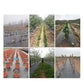 🌿 50% OFF NOW! 🛡️ Weed Barrier Fabric – Blocks Sunlight, Permeable & Heavy-Duty – No Weeds, No Hassle 🌱