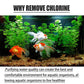 🔥Buy 2 and get 1 free🔥 Fish Ponds Aquariums Chlorine Removal Tablets