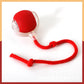 Smart Automatic Rolling Pet Ball
